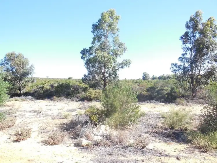 Seventh view of Homely rural property listing, 204 Olive Grove, Karakin WA 6044