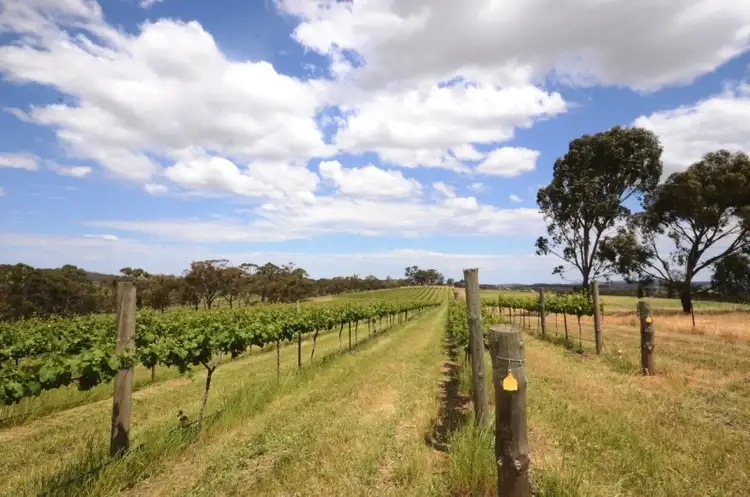 Sixth view of Homely land listing, Lot 50 White Hut Road, Clare SA 5453