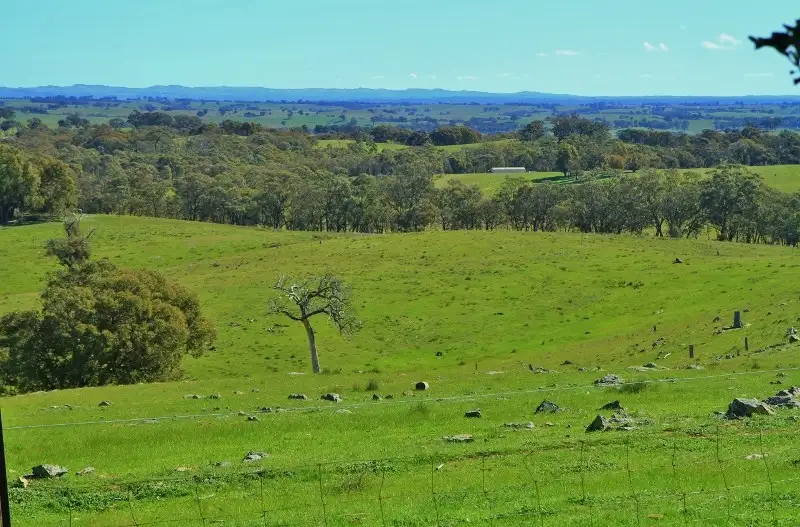 Main view of Homely land listing, Lot 4 Red Gate Lane, Heathcote VIC 3523
