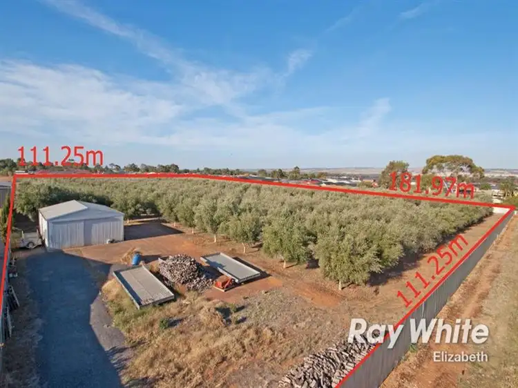 Second view of Homely land listing, 94 Peerless Road, Munno Para West SA 5115