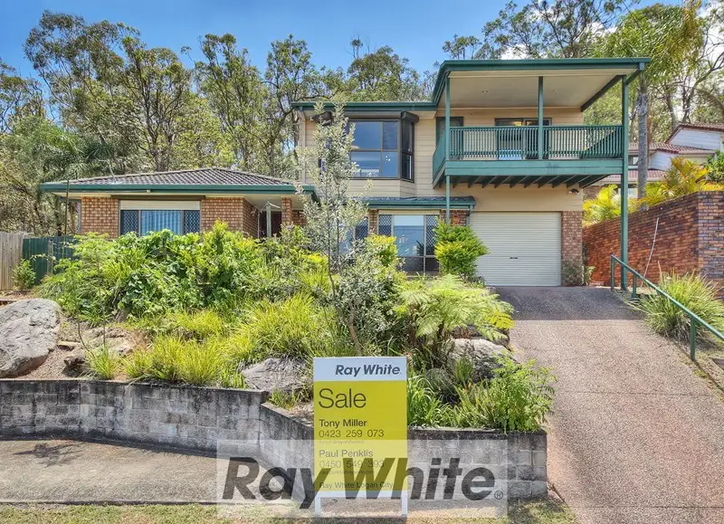 Main view of Homely house listing, 44 Deloraine Drive, Springwood QLD 4127