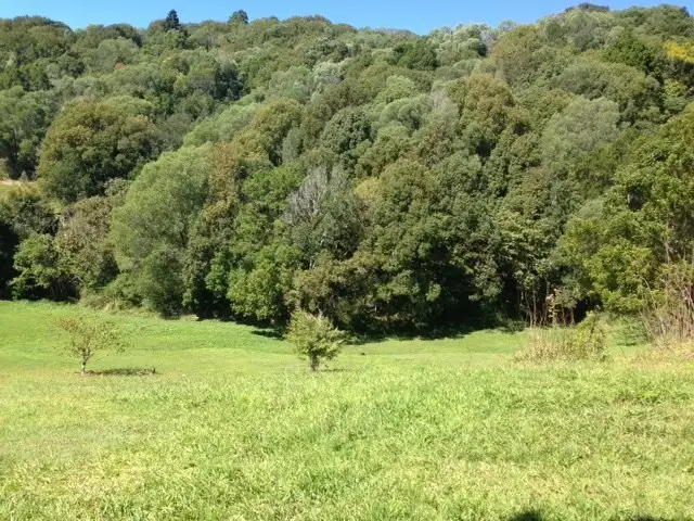 Third view of Homely land listing, 7 Mango Lane, Currumbin Valley QLD 4223
