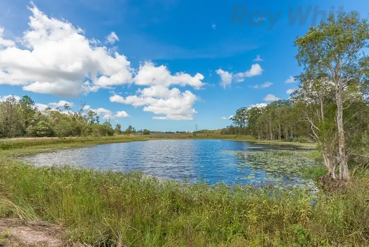 Fourth view of Homely house listing, 280 Child Road, Wamuran QLD 4512
