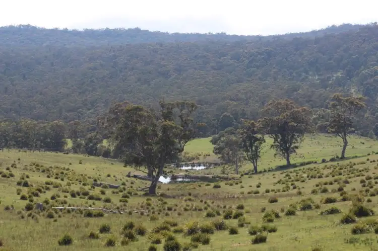 Fifth view of Homely rural property listing, 3 Colong Stock Route, Oberon NSW 2787