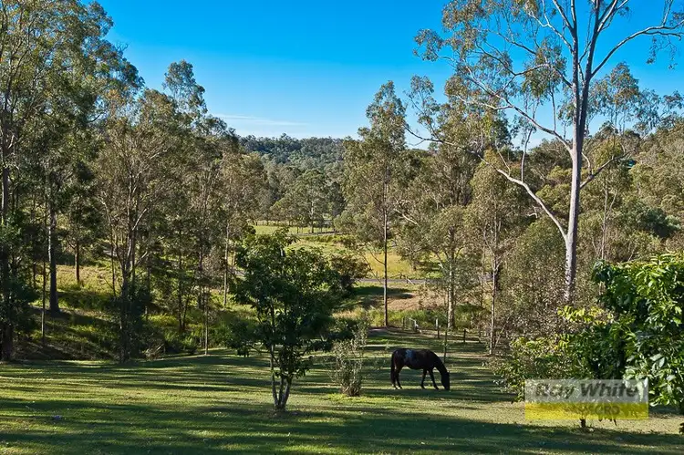 Second view of Homely house listing, 57 Burton Lane, Samford Valley QLD 4520