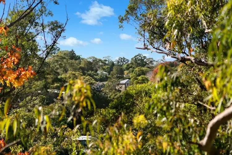 Seventh view of Homely house listing, 19 Satterley Avenue, Turramurra NSW 2074