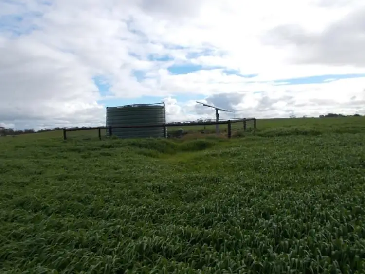 Fifth view of Homely rural property listing, 433 Golf Course Road, Bordertown SA 5268