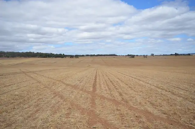 Fifth view of Homely rural property listing, "NJ's" Tarnma Road, Marrabel SA 5413