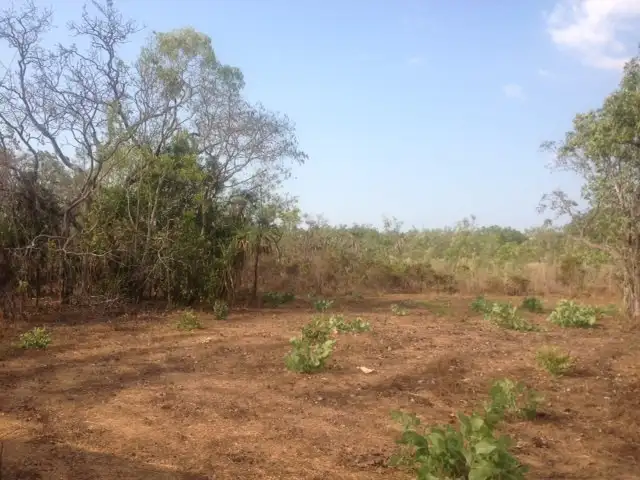 Fifth view of Homely land listing, Lot 3655 4800 Fog Bay Road, Dundee Forest NT 840
