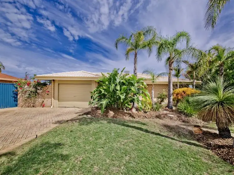 Main view of Homely house listing, 7 Salacia Court, Alexander Heights WA 6064