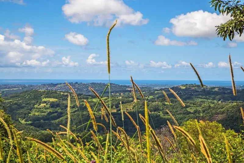 Main view of Homely rural property listing, 70 Cougal Road, Carool NSW 2486
