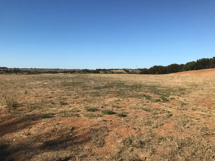 Fifth view of Homely land listing, 421 Richardson Road, Boston SA 5607
