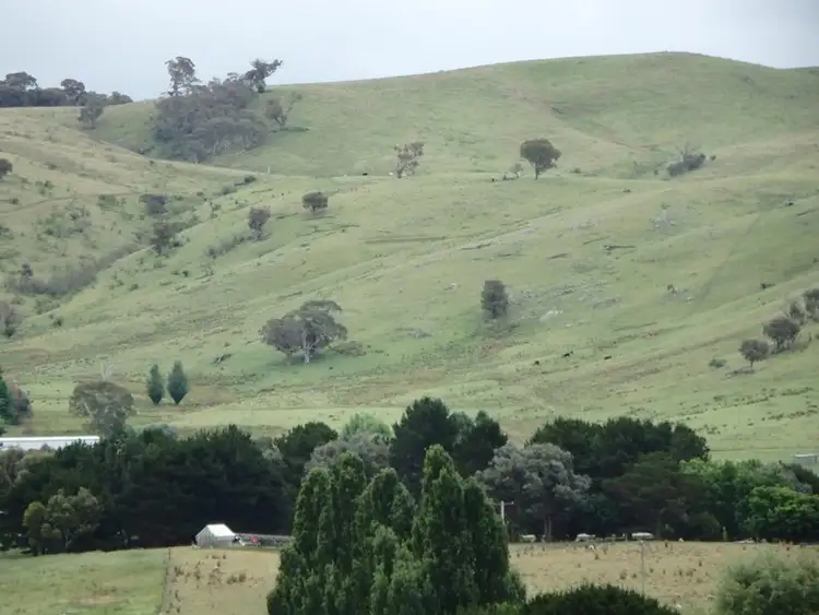 Seventh view of Homely rural property listing, 38 Warm Corner Road, Burra NSW 2620