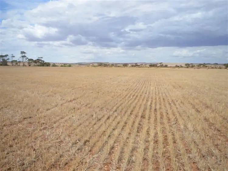 Second view of Homely rural property listing, 3 Chain Road, Beaufort SA 5550