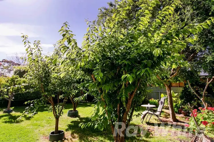 Seventh view of Homely house listing, 15 Mariner Street, Linden Park SA 5065
