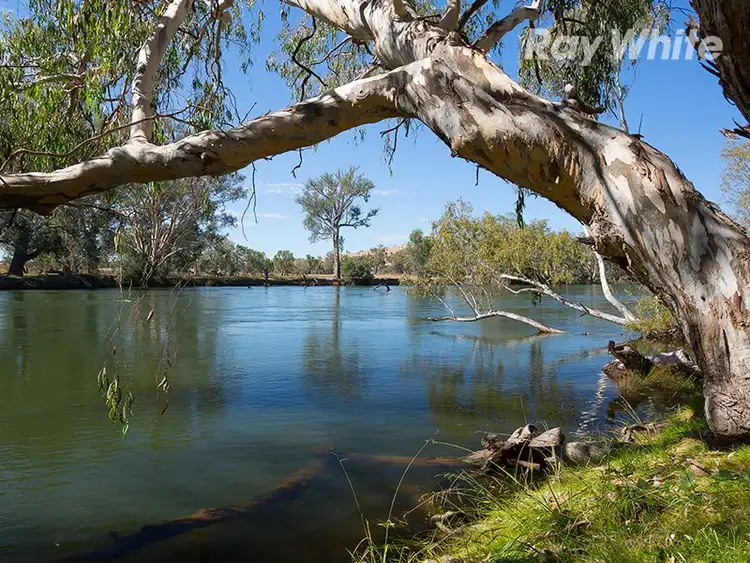Sixth view of Homely rural property listing, 414 Snowdons Road, Bonegilla VIC 3691