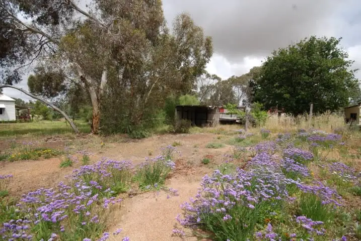 Sixth view of Homely land listing, 24-26 Raglan Street, Pingelly WA 6308
