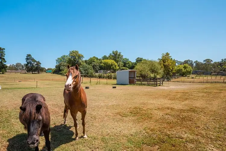 24 Reynolds Road, Londonderry NSW 2753