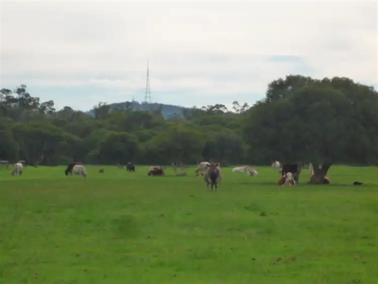 Sixth view of Homely rural property listing, Lot 151 Lake Barnes Road, Narrikup WA 6326
