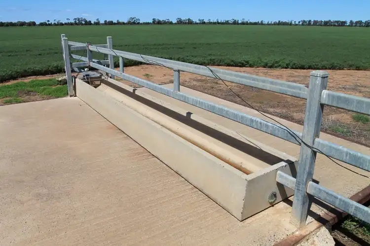Fourth view of Homely rural property listing, 9698 ROMA - CONDAMINE Road, Condamine QLD 4416