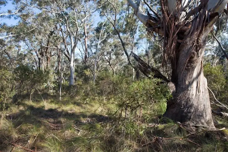 Fourth view of Homely land listing, Block 11 - Lot 170 and 128 DP 16449 - 46 Godson Avenue, Blackheath NSW 2785