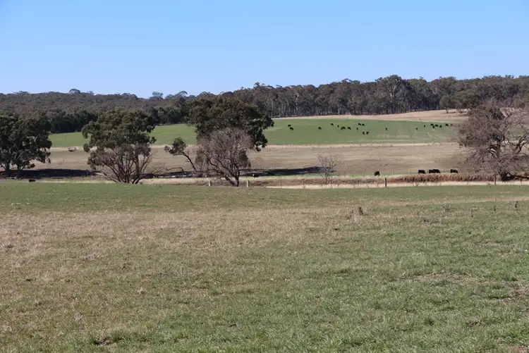 Fourth view of Homely rural property listing, 1436 Rockvale Road, Armidale NSW 2350