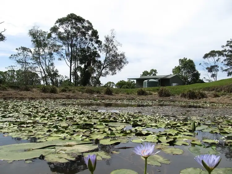 Sixth view of Homely rural property listing, 1017 Clothiers Creek Road, Clothiers Creek NSW 2484