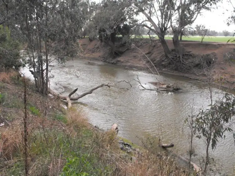 Main view of Homely rural property listing, 2006 Lachlan Valley Way, Forbes NSW 2871