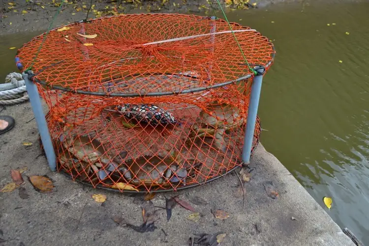 Fourth view of Homely land listing, 14 Cherwell Crescent, Pacific Haven QLD 4659