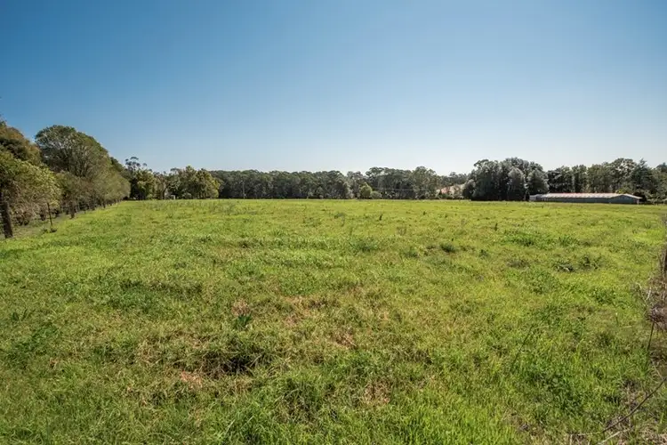 Fifth view of Homely rural property listing, 138 Hallards Road, Central Mangrove NSW 2250