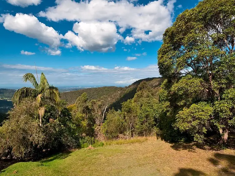 23 Orchis Drive, Tamborine Mountain QLD 4272