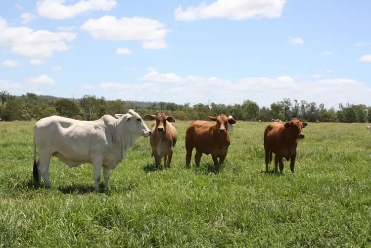 Second view of Homely rural property listing, "Washpool" Washpool Road, Gayndah QLD 4625
