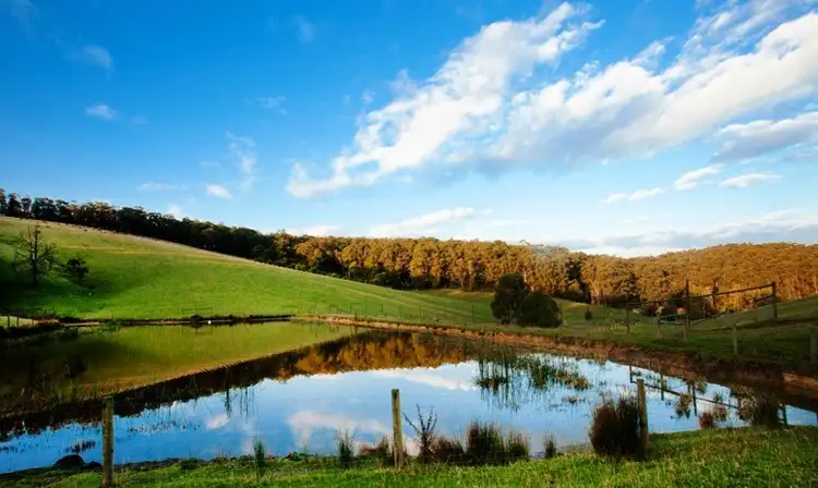 Second view of Homely rural property listing, 135 Latrobe River Road, Neerim South VIC 3831