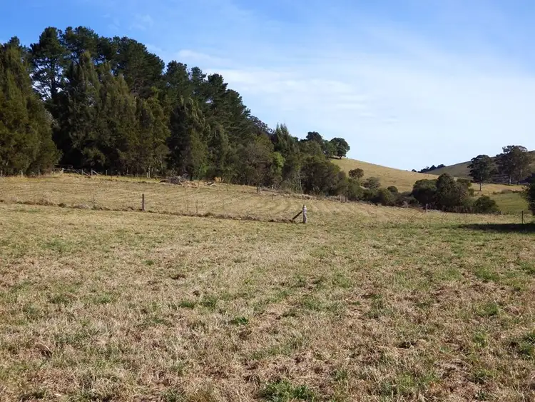 Fourth view of Homely rural property listing, 382 shepherds Road, Dorrigo NSW 2453