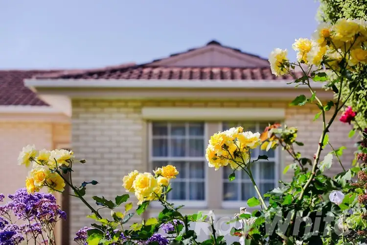 Third view of Homely house listing, 15 Mariner Street, Linden Park SA 5065