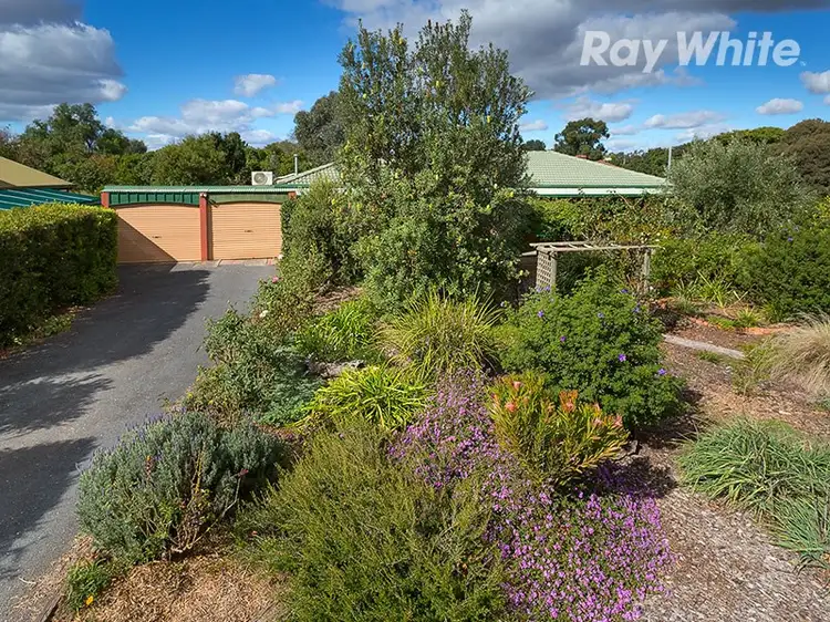 Main view of Homely house listing, 58 Larmer Street, Howlong NSW 2643
