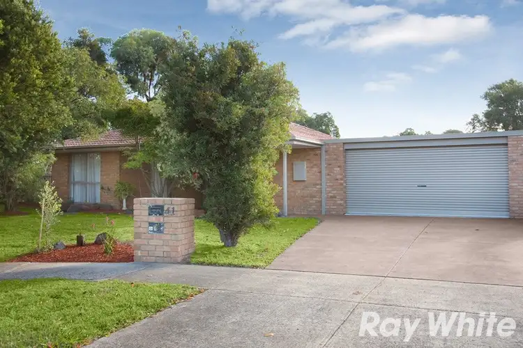 Main view of Homely house listing, 41 Florence Avenue, Berwick VIC 3806