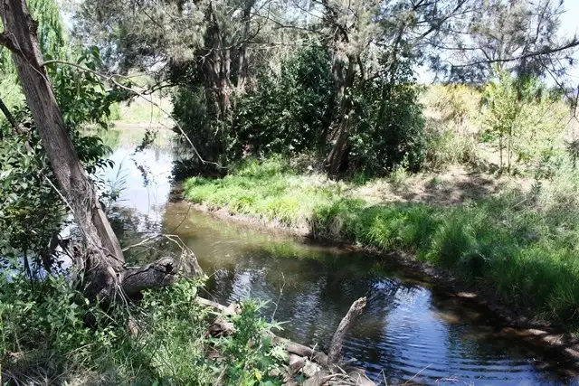Fifth view of Homely rural property listing, 264 Cunningham Highway, Maryvale QLD 4370
