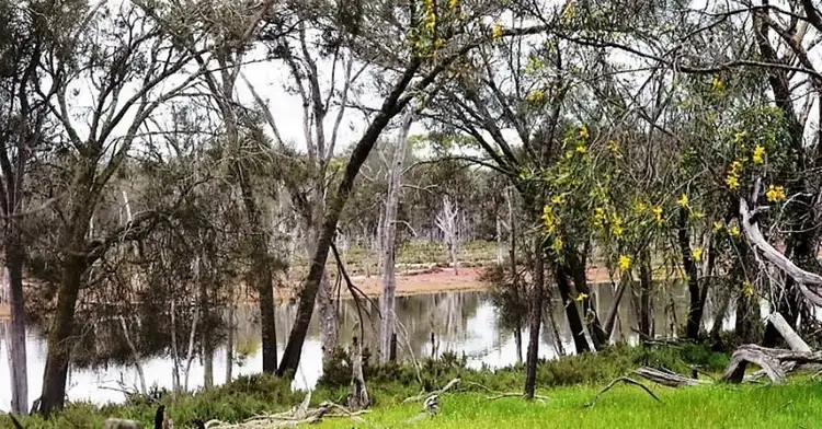 Lot  2560 Great Southern Highway, Highbury WA 6313