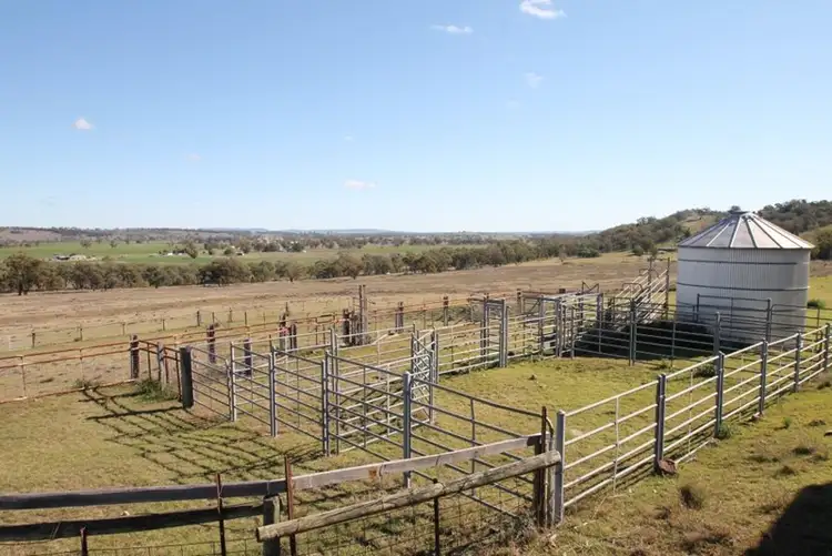 Sixth view of Homely rural property listing, 1820 Kamilaroi Highway, Quirindi NSW 2343