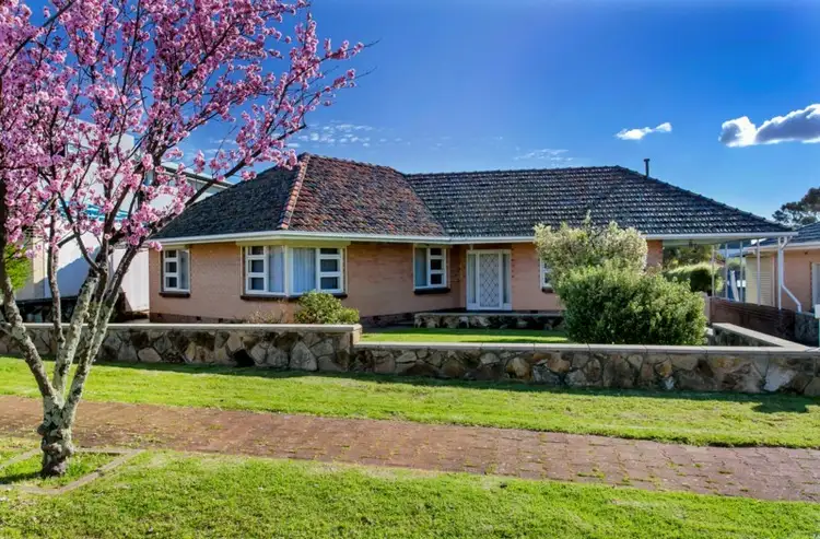 Main view of Homely house listing, 8 Egerton Avenue, Rostrevor SA 5073