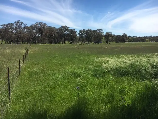 Sixth view of Homely rural property listing, Lot 213 Reg Hailstone Way, Woodstock NSW 2793