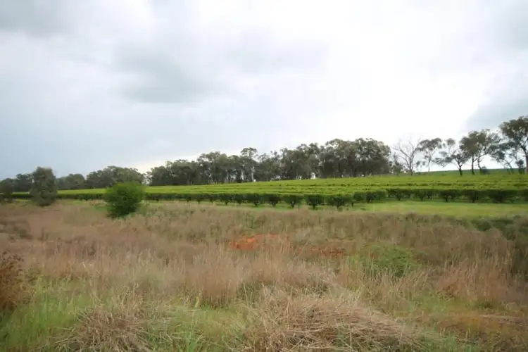 Sixth view of Homely land listing, 189 Jasprizza Lane, Young NSW 2594