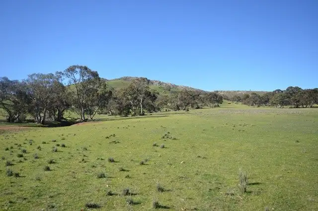 Fourth view of Homely rural property listing, "Kellys" Cattle Station Road, Mount Bryan SA 5418