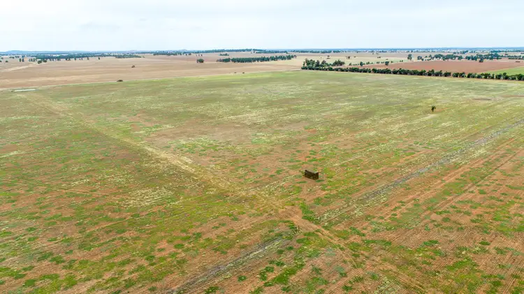 Fourth view of Homely rural property listing, Rocky Ponds, Matong North Road, Matong NSW 2652