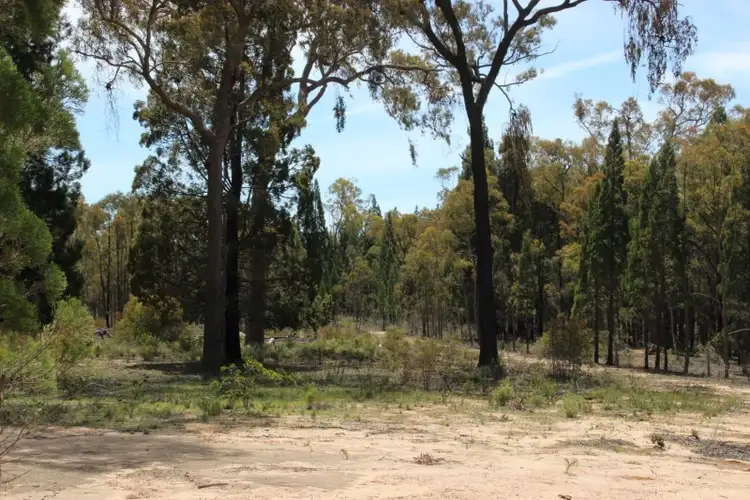 Fifth view of Homely rural property listing, 834 QUAKER TOMMY Road, Coonabarabran NSW 2357