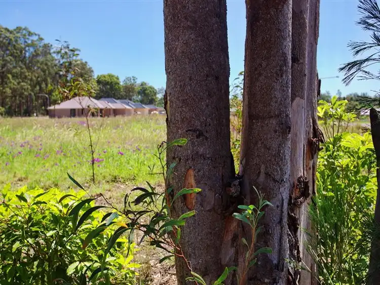 Third view of Homely land listing, Lot 46 Flannelflower Avenue, West Nowra NSW 2541