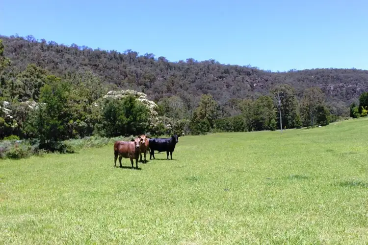 Third view of Homely rural property listing, 477 Upper Yango Creek Road, Laguna NSW 2325