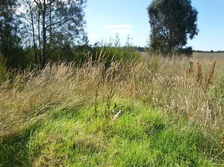 Fifth view of Homely land listing, Lot 11 Camperdown-Lismore Road, Lismore VIC 3324