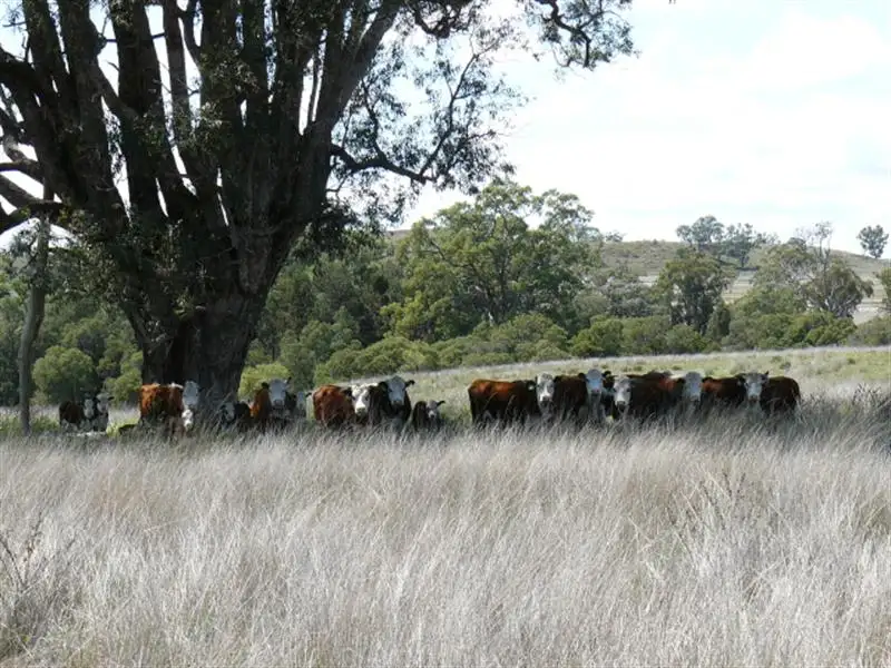 Main view of Homely rural property listing, Address available on request